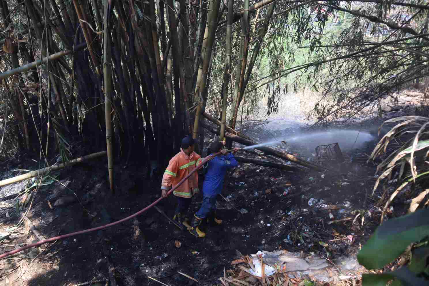 Sehari Tiga Karhutla di Banyumas, Kebun Bambu hingga Lahan Jati Terbakar