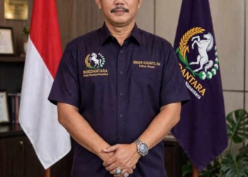 BOEDANTARA Usul Parliamentary Threshold 10 Persen di Revisi UU Pemilu