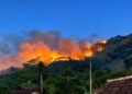 Api Merambat ke Lereng Gunung Putri, 5 Hektare Lahan Jati di Ajibarang Hangus