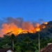 Api Merambat ke Lereng Gunung Putri, 5 Hektare Lahan Jati di Ajibarang Hangus
