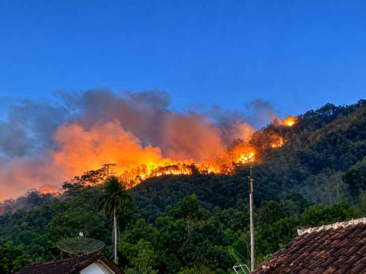 Api Merambat ke Lereng Gunung Putri, 5 Hektare Lahan Jati di Ajibarang Hangus