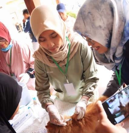 Cegah Rabies, Banyumas Siapkan 800 Dosis Vaksin Gratis hingga Akhir 2026