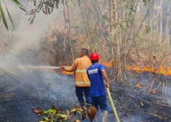 Kebakaran Lahan di Tiga Titik Purwokerto, Diduga Akibat Pembakaran Sampah