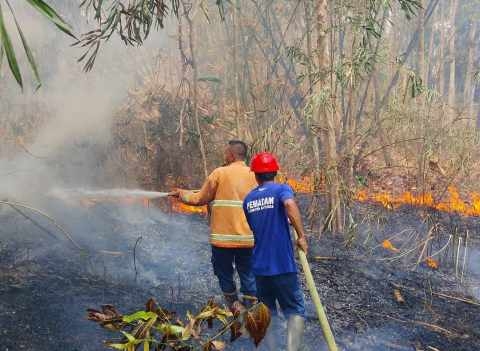 Kebakaran Lahan di Tiga Titik Purwokerto, Diduga Akibat Pembakaran Sampah