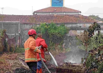 Dua Kebakaran Lahan Kembali Terjadi di Purwokerto, Diduga akibat Kelalaian Manusia