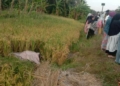 Diduga Melintas di Jalur KA, Seorang Warga Tewas Tertemper Kereta di Patuguran
