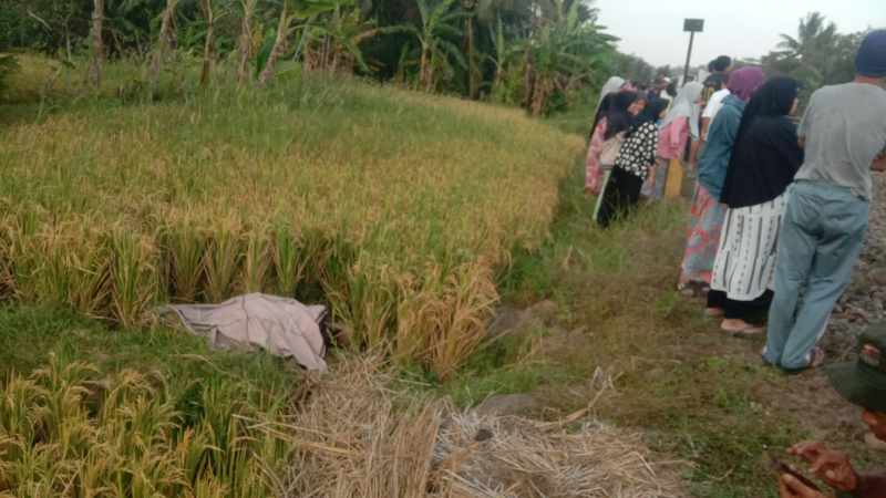 Diduga Melintas di Jalur KA, Seorang Warga Tewas Tertemper Kereta di Patuguran