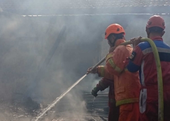 Dua Kebakaran Terjadi di Banyumas, Lahan di Cilongok dan Rumah di Karanglewas Dilalap Api